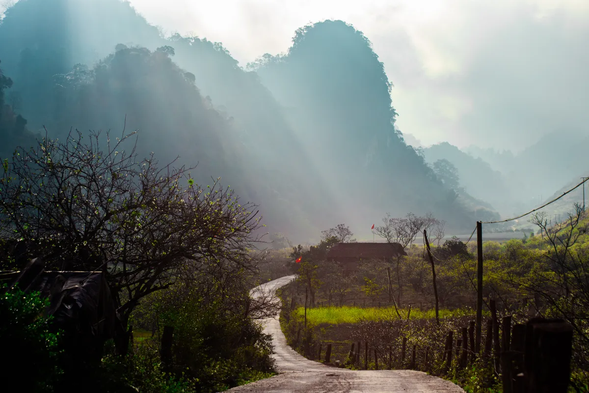 Mùa hoa trên núi - Ảnh 5.