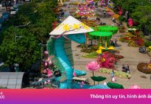 Toàn cảnh đường hoa Nguyễn Huệ 2025 trước giờ khai mạc