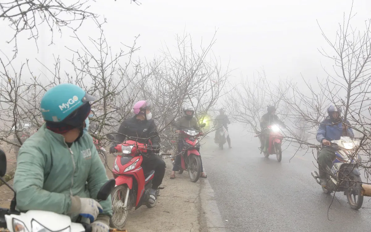 Nhộn nhịp chợ đào rừng Tết ở Tây Bắc - Ảnh 7.