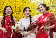 Nô nức check-in nhà sàn, vườn mai vàng rực ở trung tâm TPHCM