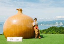 Hòn đảo kỳ lạ ở Nhật Bản: “Chống chỉ định” với người sợ… hành tây