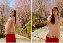 Đồi hoa tớ dày bung nở đỏ rực gây sốt ở Mù Cang Chải – Yên Bái