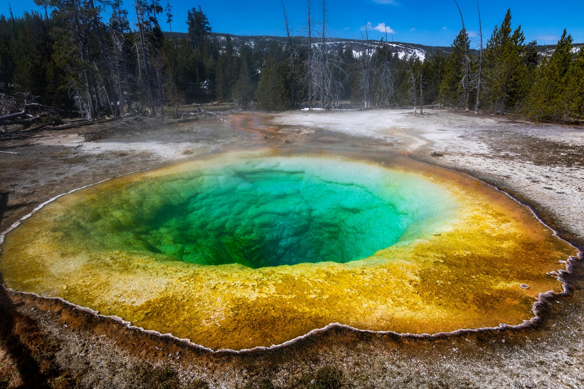 Yellowstone anh 2