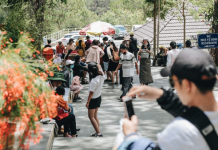 Hướng dẫn viên du lịch những ngày này: Dẫn 2-3 tour/ngày, không có thời gian nghỉ Hướng dẫn viên du lịch những ngày này: Dẫn 2-3 tour/ngày, không có thời gian nghỉ nhưng vẫn đam mê chụp ảnh sống ảo - Ảnh 1.