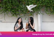 Giới trẻ TP.HCM xuống phố tận hưởng không khí yên bình sáng mùng 1 Tết