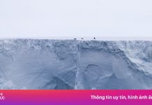 Tảng băng lớn nhất thế giới đã xê dịch