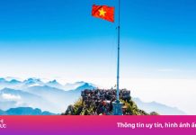 Fansipan – điểm đến không thể bỏ lỡ dịp Tết Nguyên Đán Ất Tỵ