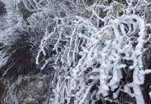 Băng tuyết phủ trắng xóa đỉnh Fansipan, đi cầu kính như trượt băng