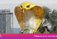 Đổ xô xem linh vật rắn lộng lẫy ở Đà Nẵng