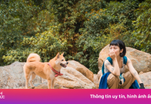 Tôi dẫn chó cưng trekking 7 ngọn núi