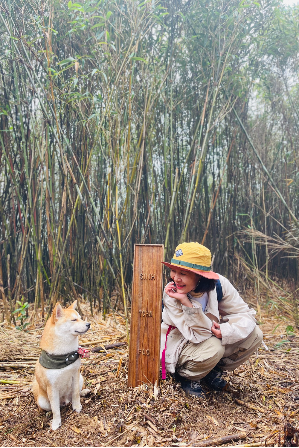 thu cung trekking anh 5