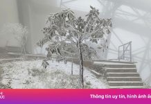 Mưa tuyết trắng xóa trên đỉnh Fansipan ngày 27 Tết