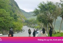 Đứng giữa đường ở Sơn Trà ‘đu trend Đại Lý’