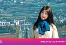 Thấy gì từ ‘trend Đại Lý’ đang sốt mạng xã hội?