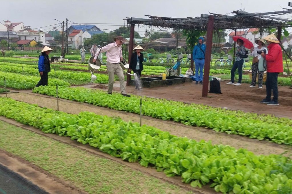 Các đại sứ Thụy Sĩ tại Đông Nam Á tìm hiểu dự án du lịch vì sự phát triển bền vững tại Quảng Nam, Việt Nam - Ảnh 1.