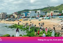 Bãi đá hình vòng cung ở Quy Nhơn hóa ‘dải lụa xanh’ hút khách check-in