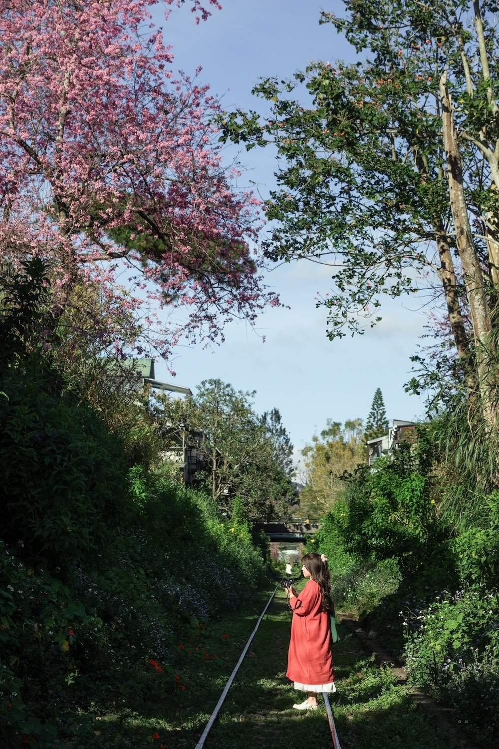 mai anh dao Da Lat anh 13