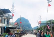 Cây nêu ngày tết