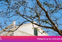 Bất ngờ diện mạo dinh thự ‘vua Mèo’ Lào Cai sau trùng tu