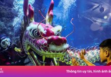 Ảnh Tết Nguyên đán đẹp rực rỡ khắp châu Á