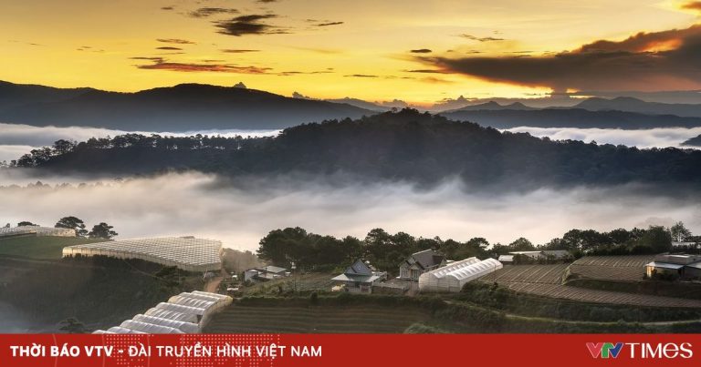 Phát triển TP Đà Lạt là thành phố sáng tạo âm nhạc của UNESCO