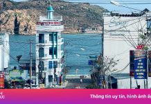 Xử lý du khách đứng giữa đường ‘đu trend’ Đại Lý tại Quy Nhơn