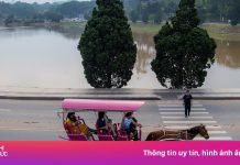 Lý do Đà Lạt cấm xe ngựa chở khách quanh hồ Xuân Hương