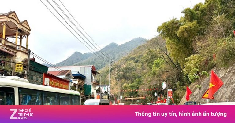 Mộc Châu ‘thất thủ’ mùa hoa mận