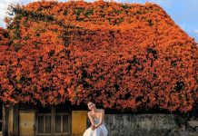 Ngôi nhà có hoa phủ kín như rèm che ở Lâm Đồng, ai cũng phải ngước nhìn