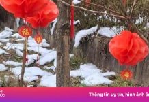 Khách ‘không nói lên lời’ nhìn tuyết làm từ bông gòn tại Trung Quốc