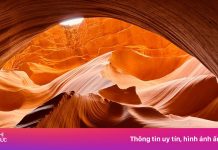 Ảnh siêu thực như lạc vào vũ trụ