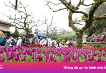 3 sản phẩm du lịch mới thu hút đông đảo du khách đến Đà Nẵng