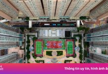 Độ ‘phủ sóng’ gây choáng ngợp về sân bóng rổ ở Hong Kong