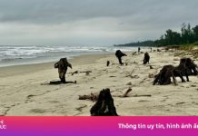Nguy cơ ‘xóa sổ’ bãi biển đẹp nhất Quảng Ngãi