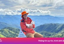 Tôi chạy xe máy đưa mèo từ Hà Nội vào Long An