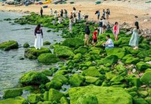 Bãi đá hình vòng cung ở Quy Nhơn hóa ‘dải lụa xanh’ hút du khách check-in