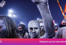 Ngập quảng cáo Coca Cola, Vim tại lễ hội đông nhất lịch sử loài người