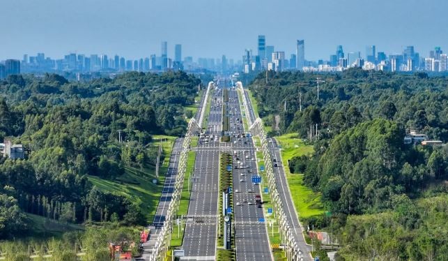 Đại lộ 12 làn thẳng tắp, ô tô chạy 80km/h như cao tốc giữa phố - 3