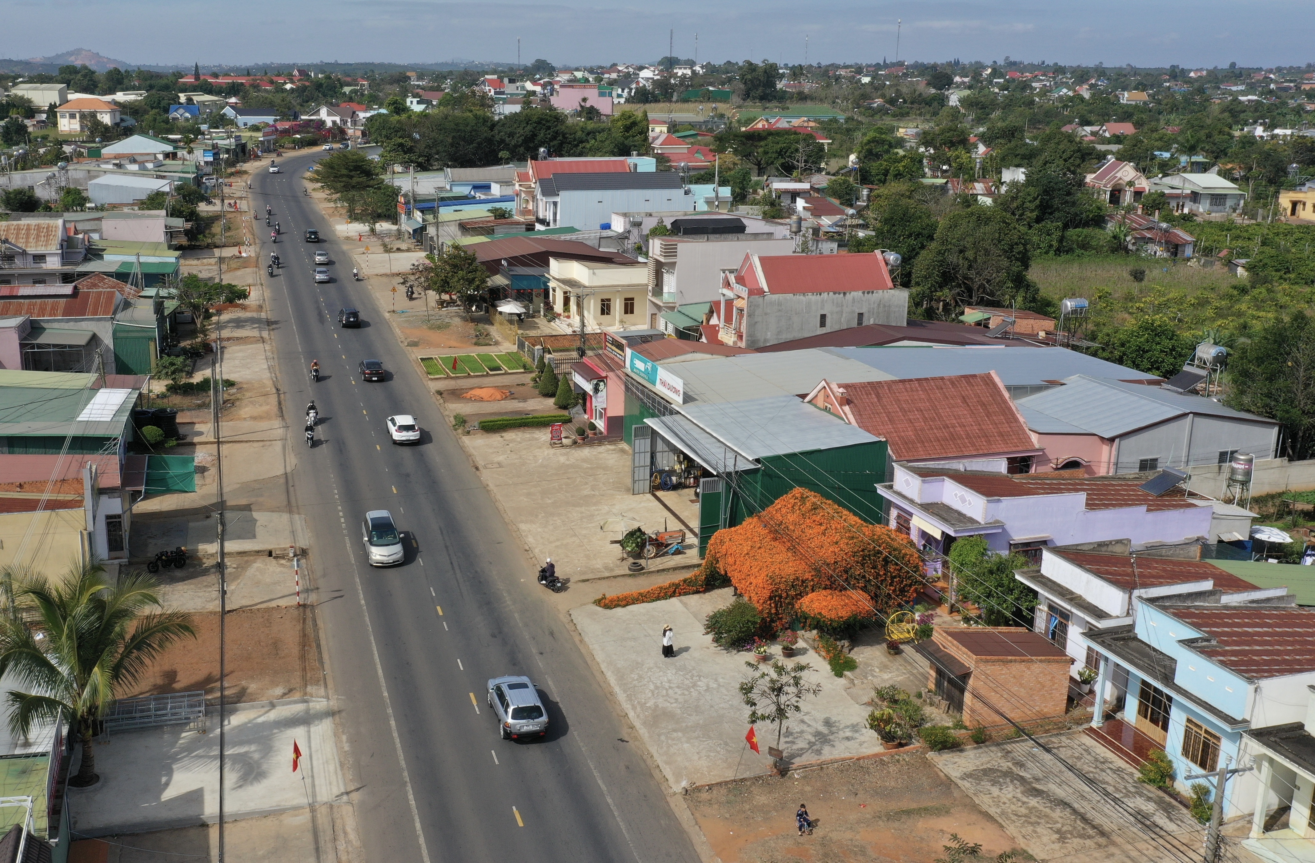 hoa xac phao Di Linh anh 2