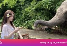 Nhóm khách ASEAN đầu tiên đến Tây Song Bản Nạp không cần thị thực