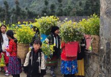 Hà Giang – điểm đến du Xuân hấp dẫn đầu năm