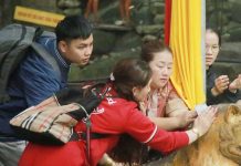 Hàng nghìn du khách ‘đội mưa’ đến ngôi chùa đẹp nhất xứ Nghệ