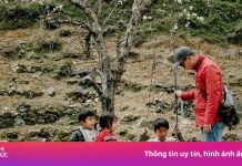 Hà Giang đón khách đông chưa từng thấy, nhiều khách sạn ‘cháy’ phòng