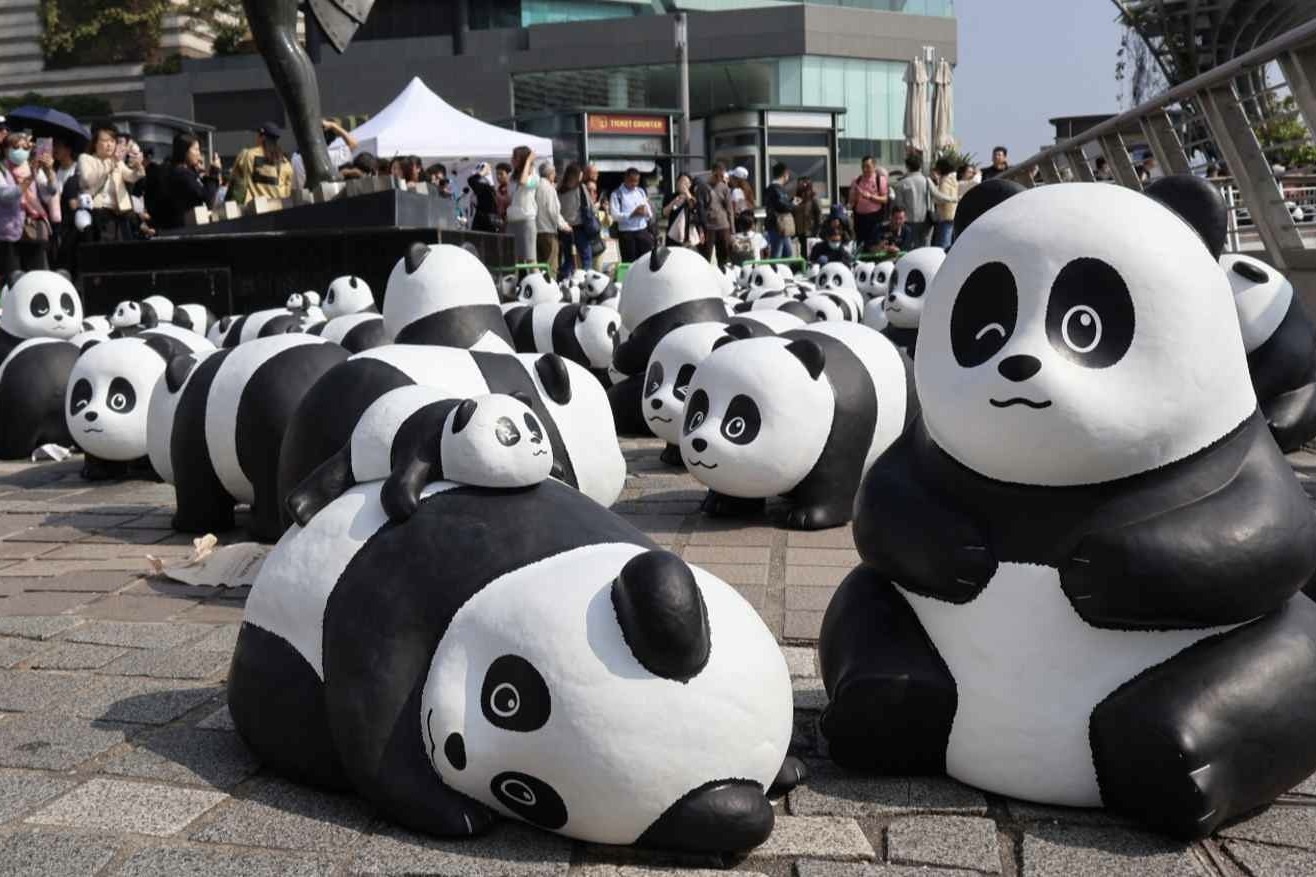 gau truc Hong Kong anh 4