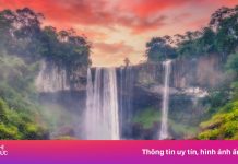 Thác K50 mở cửa trở lại sau vụ cây đổ đè du khách tử vong