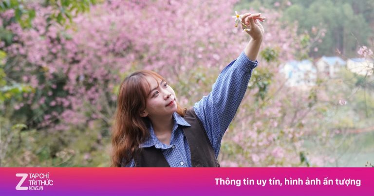 Xin nghỉ làm đi Đà Lạt ‘săn’ ảnh hoa mai anh đào