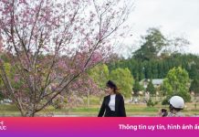 Đà Lạt kêu gọi không mua hàng rong cạnh hồ Xuân Hương