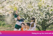 Khách đổ xô đến Mộc Châu sau Tết, cắm trại giữa vườn mận đẹp như tranh
