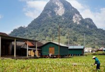 Ngôi làng vùng rốn lũ chuyển mình ngoạn mục nhờ khai thác du lịch hiệu quả