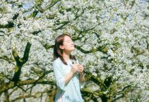 Những điểm chụp hoa đẹp ở Mộc Châu